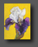 Iris 2 24x18cm